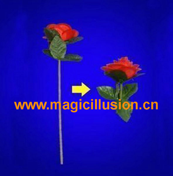 Folding rose magic toy